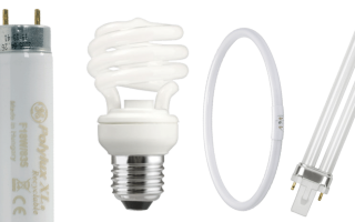 节能荧光灯：工作原理，差异