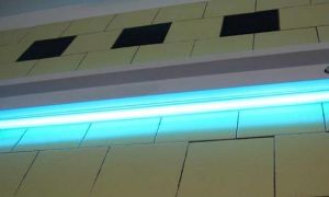 Bakteriedrepende lampe for barns hagl - plusser og minuser