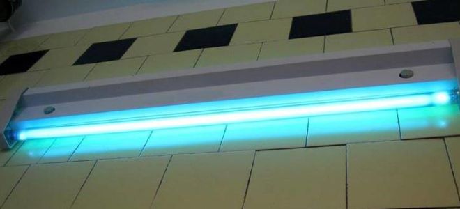 儿童冰雹杀菌灯 - 优点和缺点