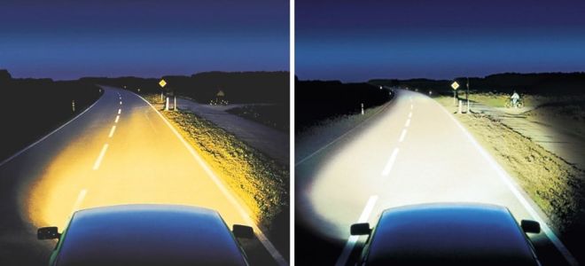 氙气和双氙气鳊鱼：在头灯鳊鱼中加入更好的东西，安装在 LED 灯上