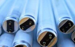 Izkhvarlyane trên đèn huỳnh quang: ở đâu, bị phản bội, như thế nào, bị vô hiệu hóa