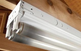 La lampada fluorescente si è bruciata o non si è accesa: come posso rimediare