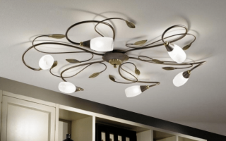 你如何用你自己的 si riytse 泵 polyley：紧固件元件的方法和类型