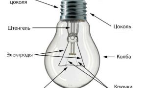 Bụng trên đèn từ cằm ép: 5 bắt đầu cho đến cuối