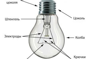 Bụng trên đèn từ cằm ép: 5 bắt đầu cho đến cuối