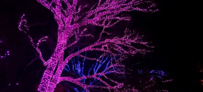 街头花环 varhu durveta：我们会选择哪一个，装饰创意