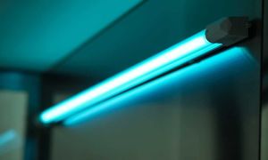 En bakteriedrepende lampe for hus: for hva og hvordan vi velger