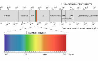 用于视频监控的 IR 泛光灯 用于运动的 cs 传感器：我们选择哪一种