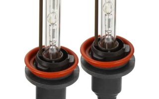 Xenon H11 nell'oscurità per l'oscurità: qualunque sia la tua scelta 4300K, 5000K o 6000K