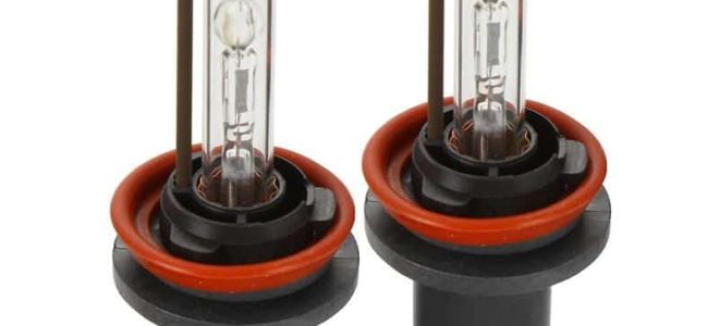 Xenon H11 in darkness for darkness：无论您选择 4300K、5000K 还是 6000K