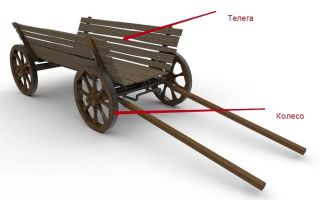 Kolelo for polyleys：你如何自己发送，对nai-kind模型进行评级