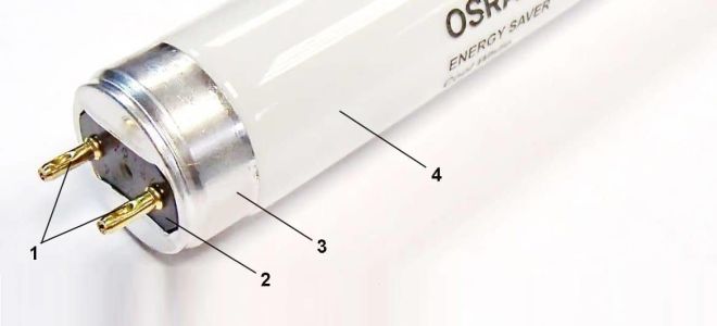 日光灯g13：底座，你的特性如何