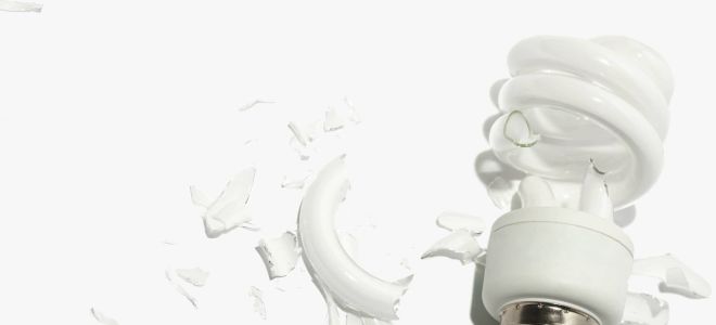 伊玛在节能灯里活着吗