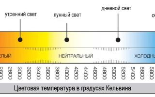 Lampade a LED per case e appartamenti: valutazione, come scegliere la bontà