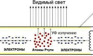 Ballast bak lampen: diagram, hvordan koble den, reparasjon, driftsprinsipp, elektronisk og induktiv
