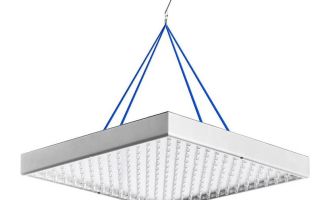 Afklaring for frøplanter nær huset: send det selv, til Pervaz til seeren, hvilken lampe du vælger