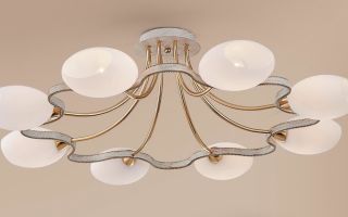 现代水坑：拿它来竞选（快照）