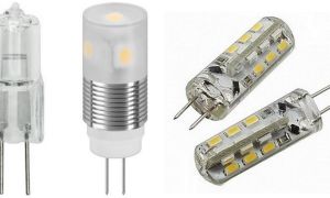 Base g4: størrelse og bruksområde