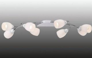 Zalata 的 Polilei：如何选择规则（照片）