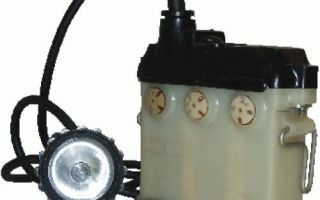 Minorski fener eller hestesport nadbyagvane: hvordan ja, denne ladningen, enheten