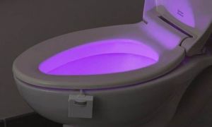 Lightening per toalett ss sensor per bevegelse: uansett hva du velger (bilde)