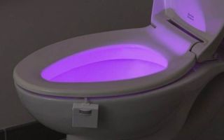 Lightening per toalett ss sensor per bevegelse: uansett hva du velger (bilde)