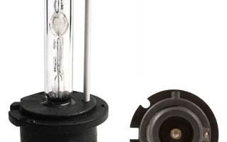 Lamp D1s：氙气，特性，我们选择