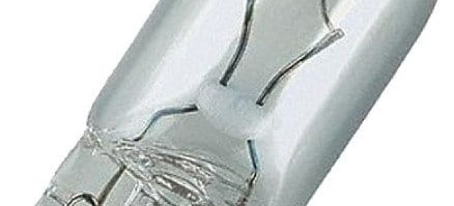 砸在铃木 Grand Vitara 大小的杯子上：struva 怎么样