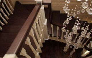 Lange polyleys for stalbi - ta for valg og montering