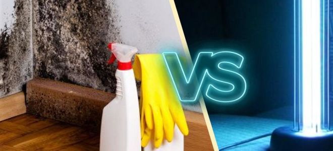 石英灯有助于切割 muhl 和模具吗