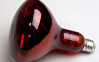 Lampada a infrarossi: per cosa, per riscaldamento e lavorazione