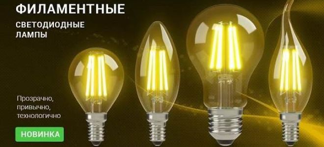 Lampi con una bevanda calda: caratteristiche, confronto, vantaggi