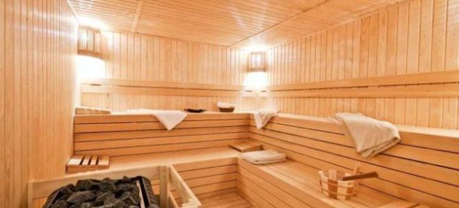 浴室和桑拿灯：灯上的选择，电缆管道上的安装（图）