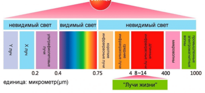 Infrachervena Svetlina per la videosorveglianza: come inviarla da soli