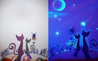 Selvlysende kamp: ta den til bruk og rett den selv