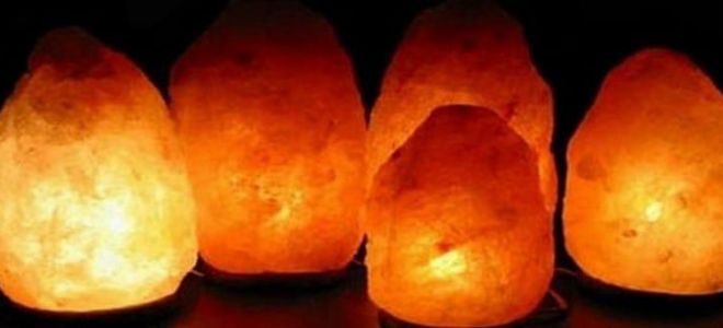 Sun lampi - strisciare e danneggiare. Istruzioni per l'uso