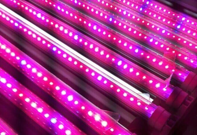 LED, 植物灯