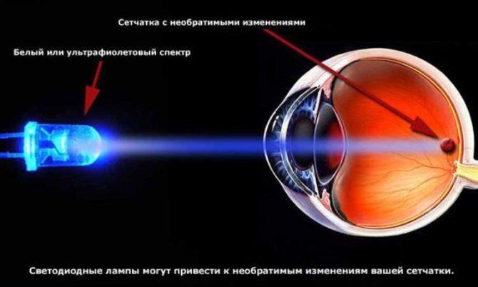 Retina, LED