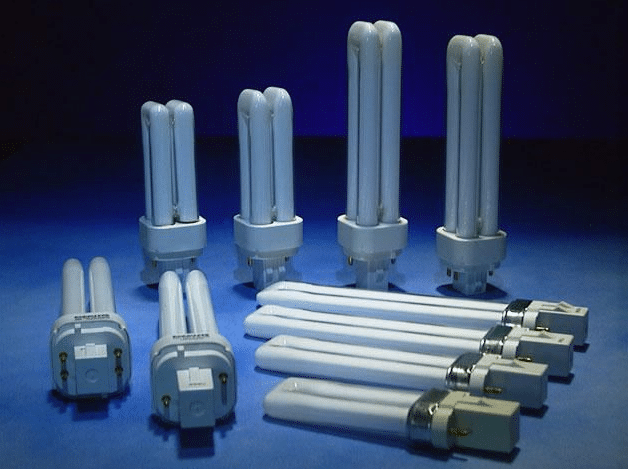 多马金斯基兰皮