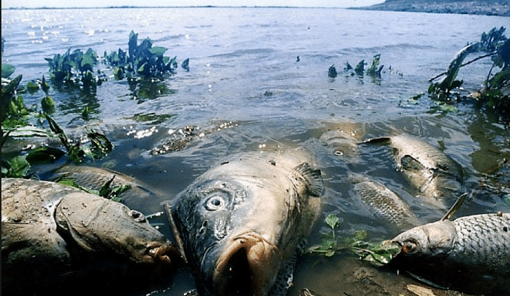 Dopotutto, ti vedranno da tutto