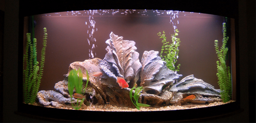 Chiarimento combinato