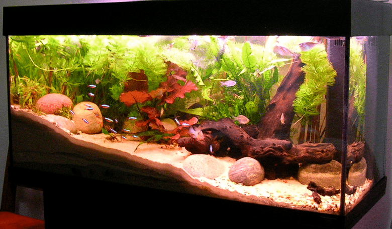 Riktig bakgrunnsbelysning