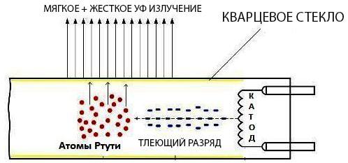 đèn thạch anh zhivochna
