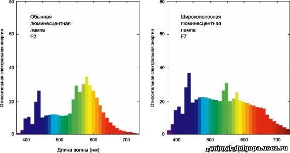 Hva er indeksen på fargegjengivelsen og hvordan er målingen