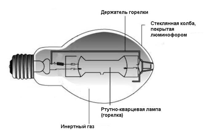 lampada vivente, catena