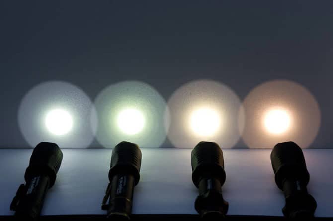 Blomst på svetlinata på fenerceto