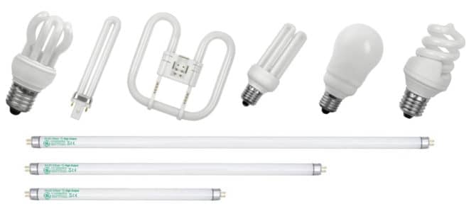 pestene per l'energia