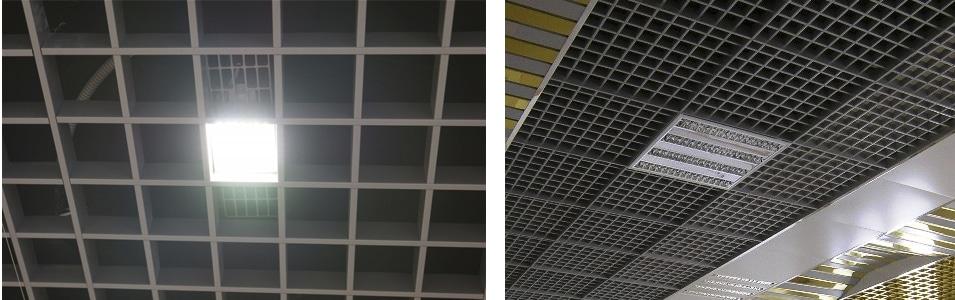 Được cài đặt trên bờ vực của các chấm và gốc của các đường ánh sáng trong kích thước rừng tiêu chuẩn