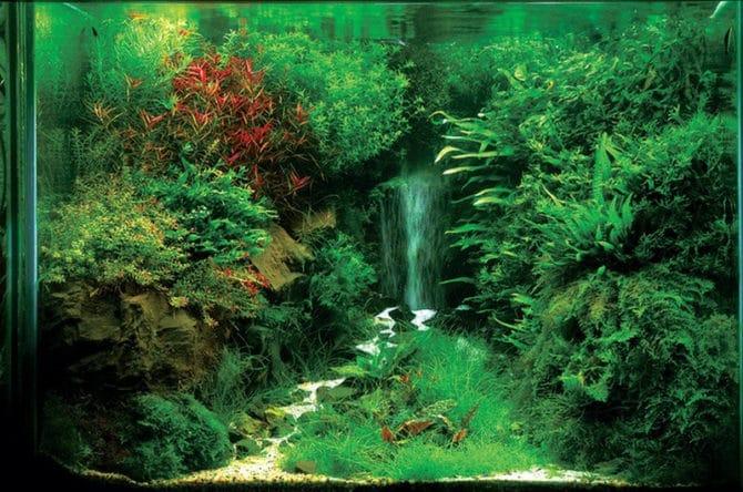 messa in scena di Svetlina