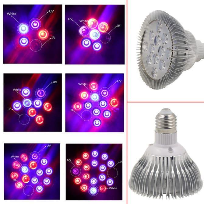 Phytolamp với đèn LED IR và UV